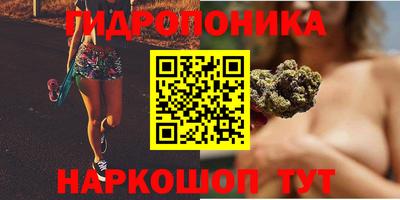 эйфоретик Ставрополь